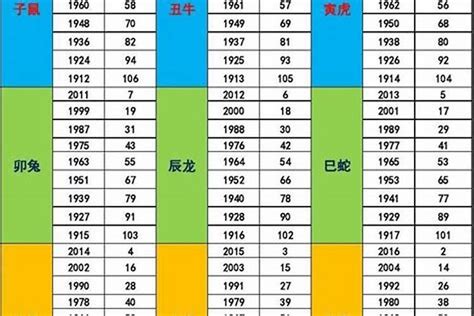 1991年五行